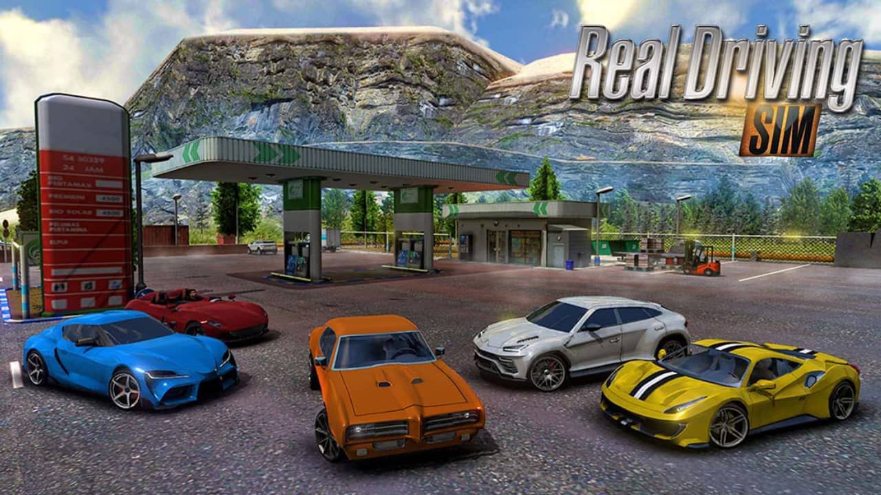 switch520游戏_真实驾驶模拟_Real Driving Sim_0